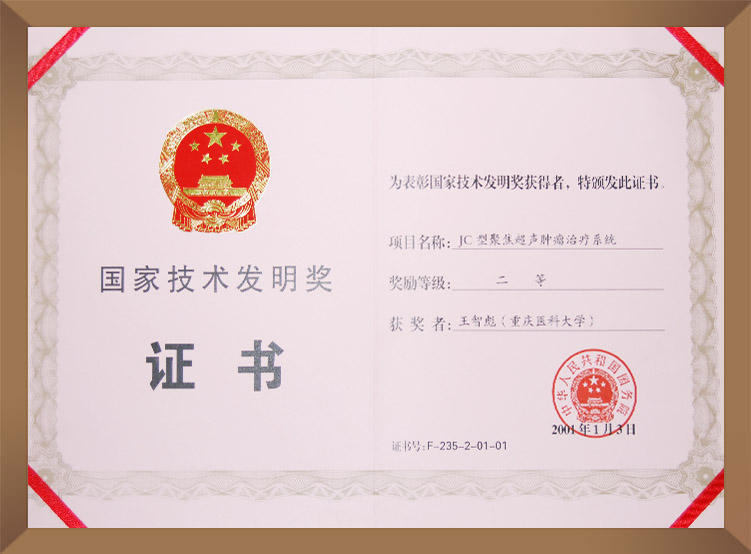 國家技術(shù)發(fā)明獎二等獎