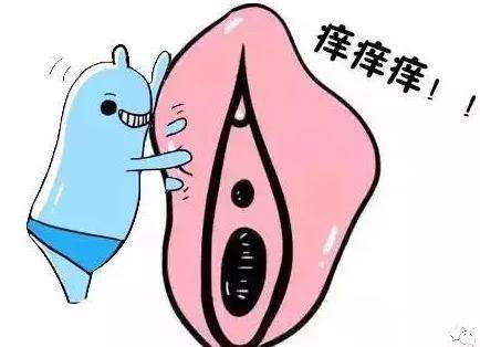 海極星?是如何治療外陰白斑的？