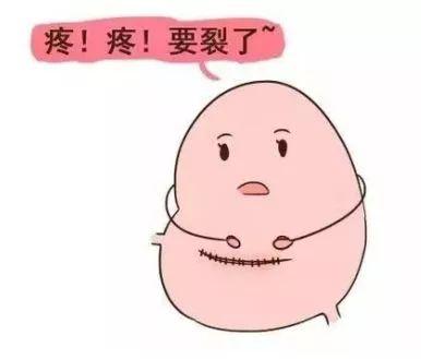 此外卵巢功能、激素代謝均受高級神經(jīng)中樞的控制調(diào)節(jié)